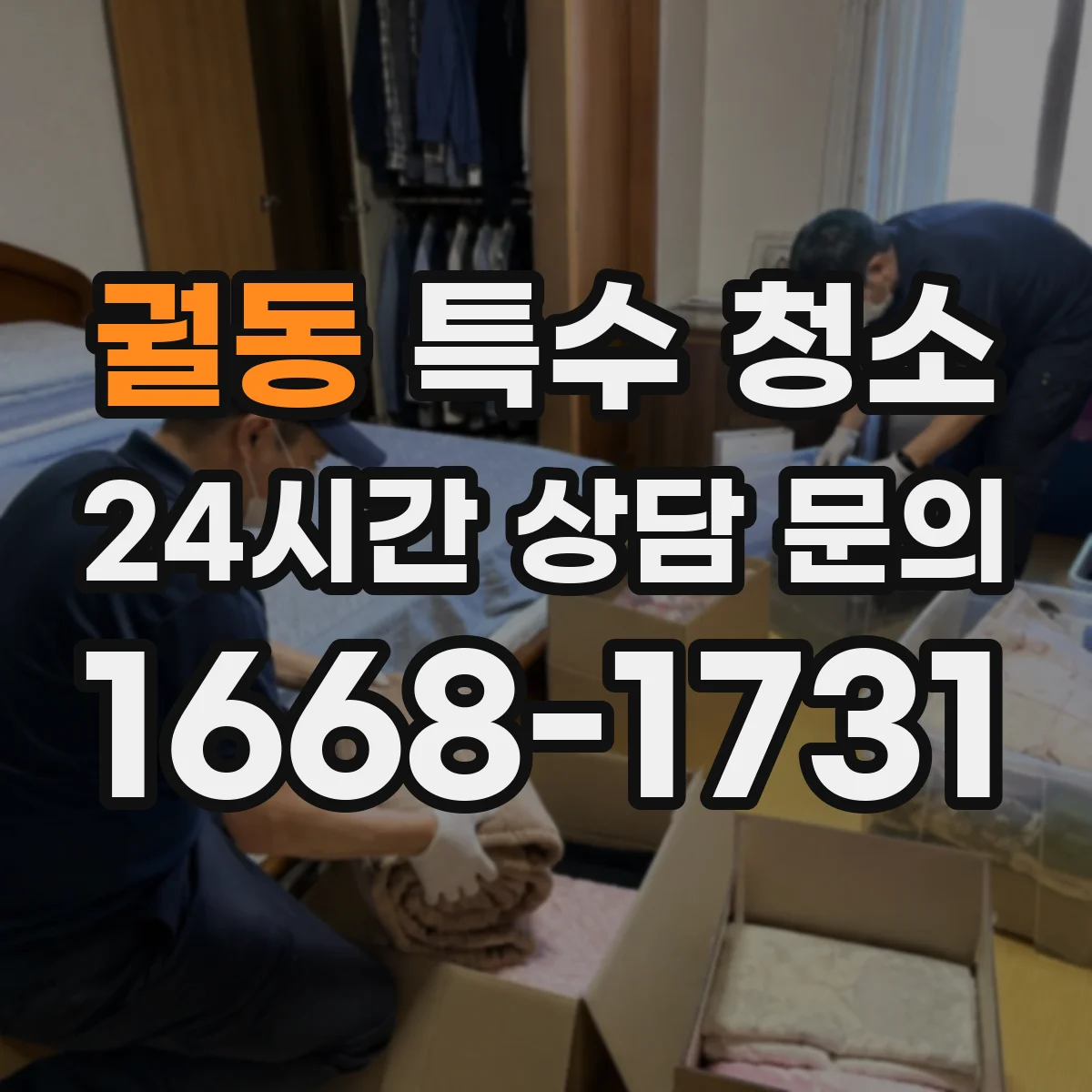 궐동 특수 청소