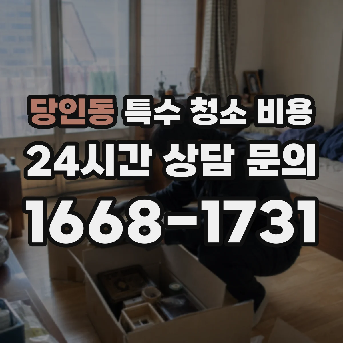 당인동 특수 청소 비용