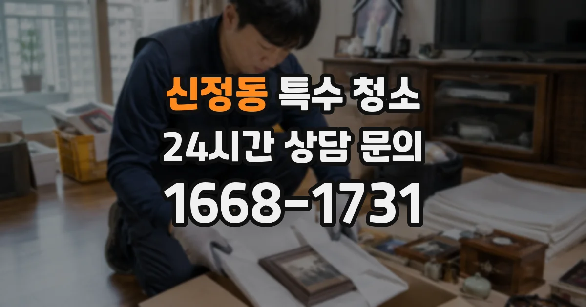 신정동 특수 청소