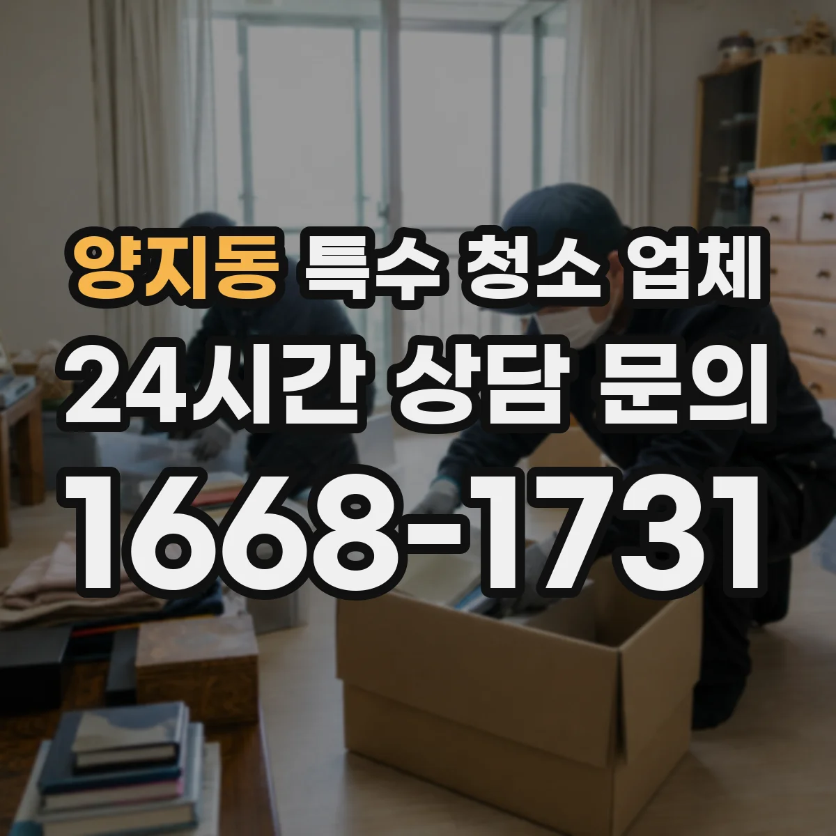 양지동 특수 청소 업체