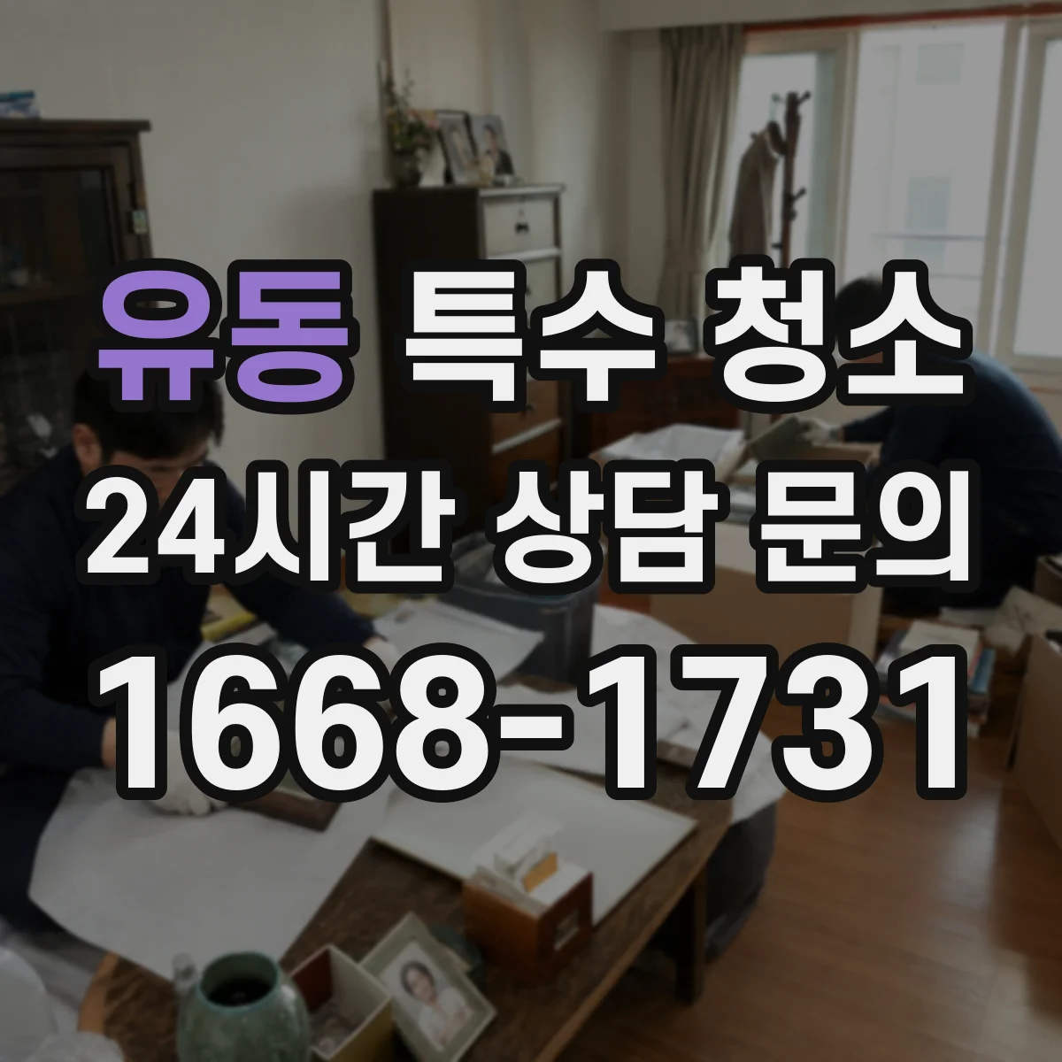 유동 특수 청소