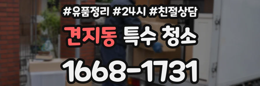 견지동 특수 청소