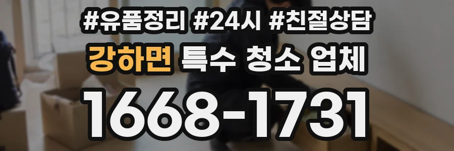 강하면 특수 청소 업체