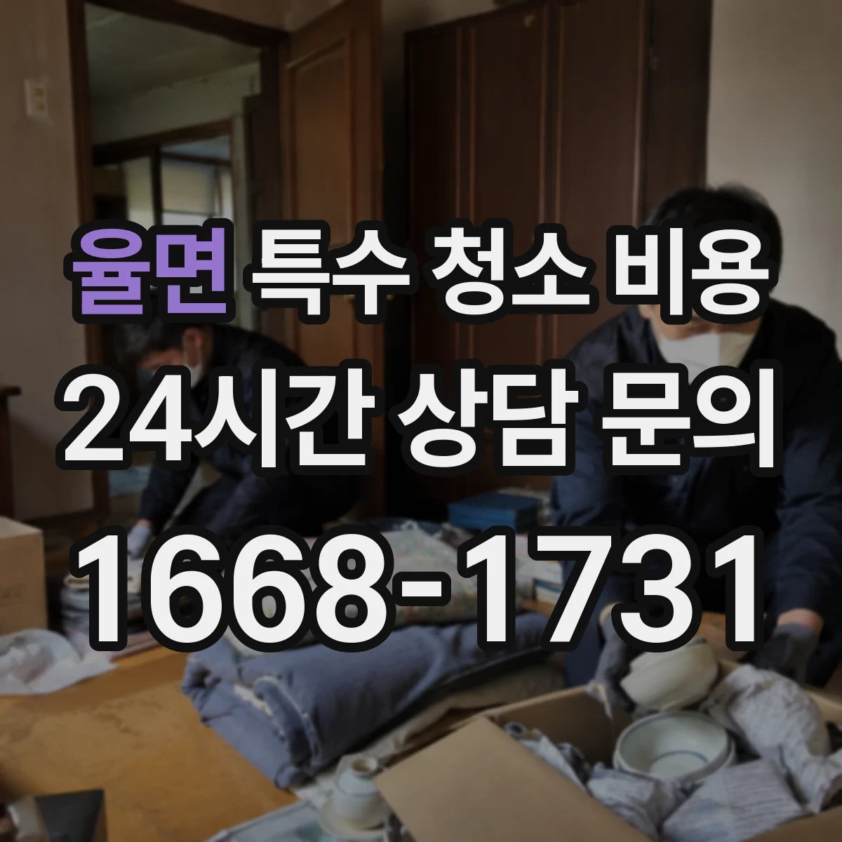 율면 특수 청소 비용