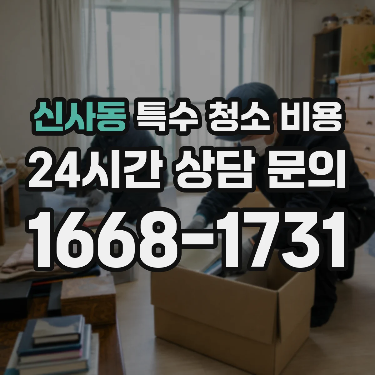신사동 특수 청소 비용