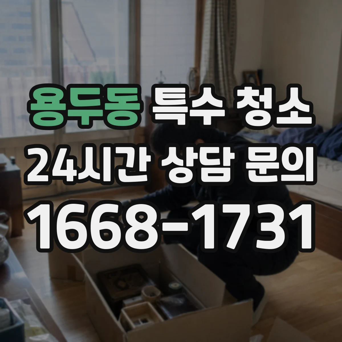 용두동 특수 청소