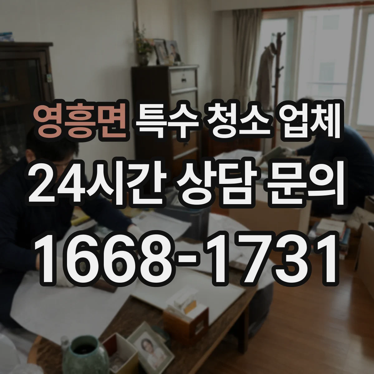 영흥면 특수 청소 업체