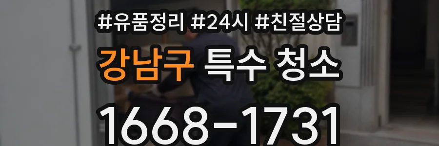 강남구 특수 청소