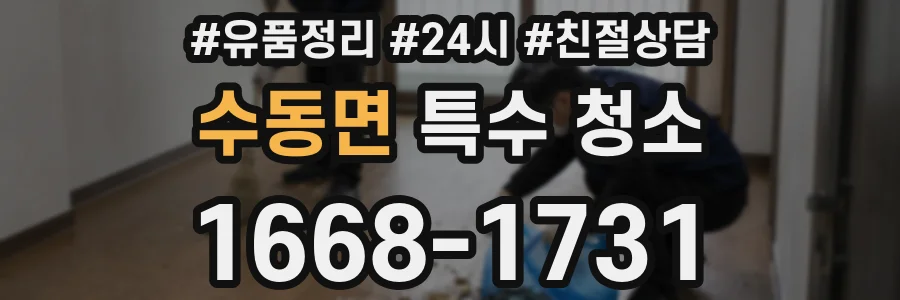 수동면 특수 청소