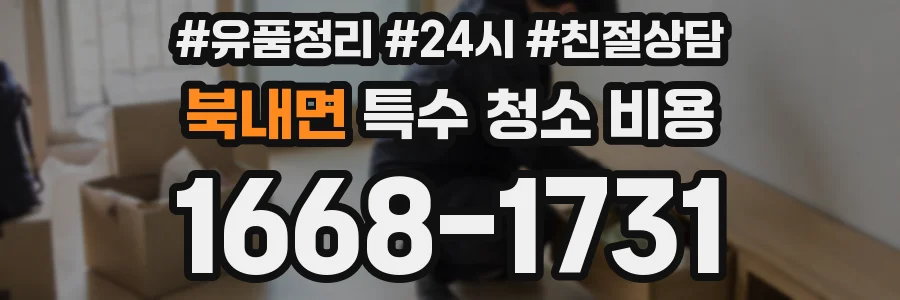북내면 특수 청소 비용