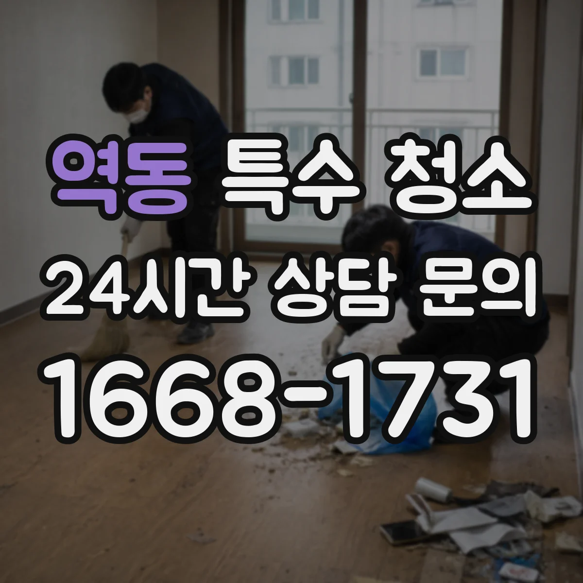 역동 특수 청소