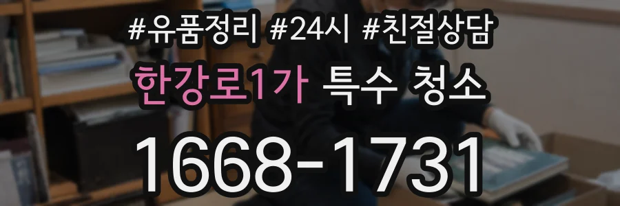 한강로1가 특수 청소
