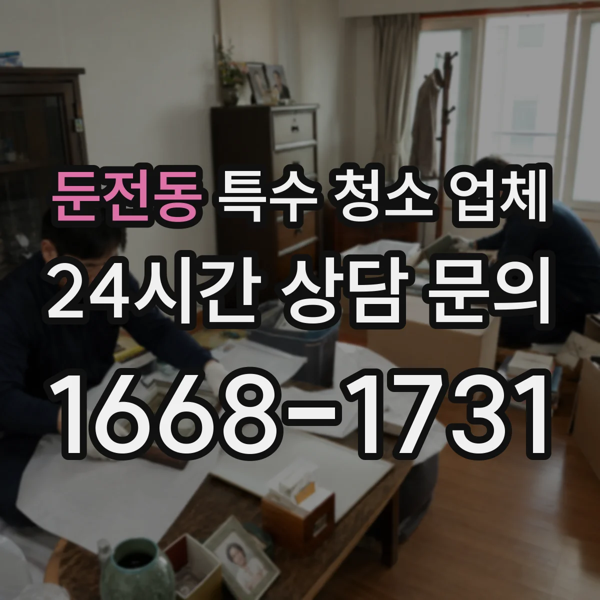 둔전동 특수 청소 업체