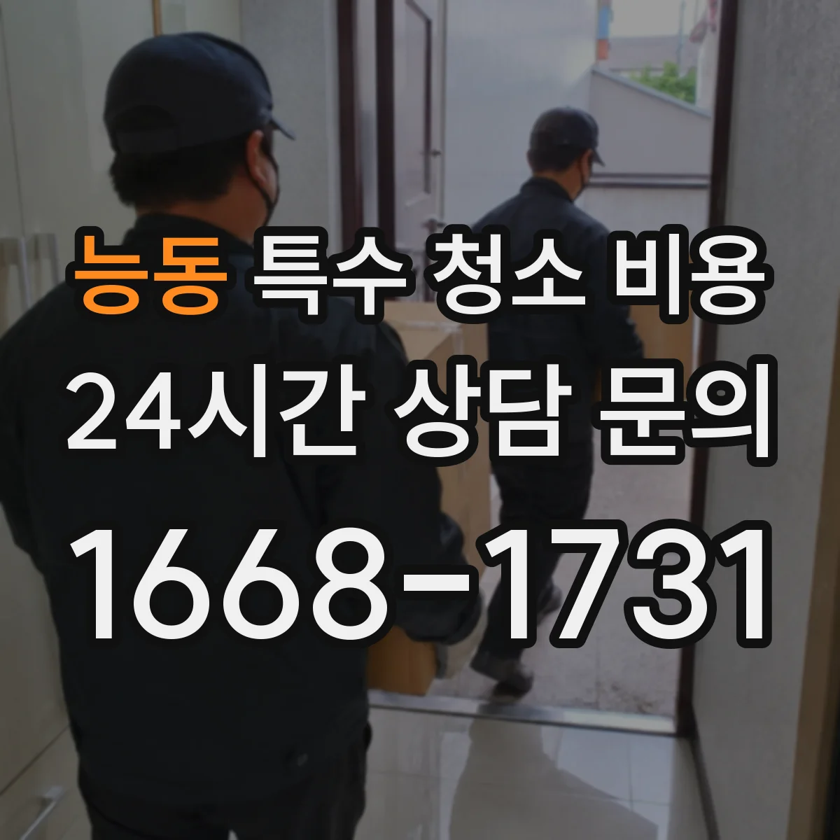 능동 특수 청소 비용
