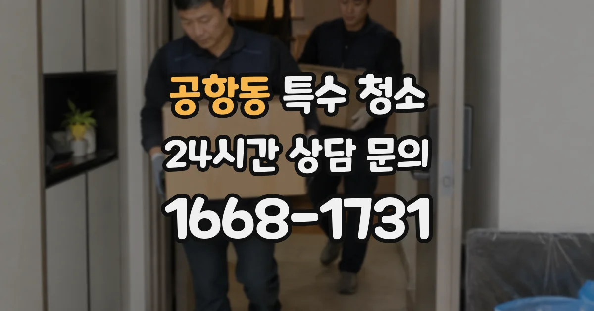 공항동 특수 청소