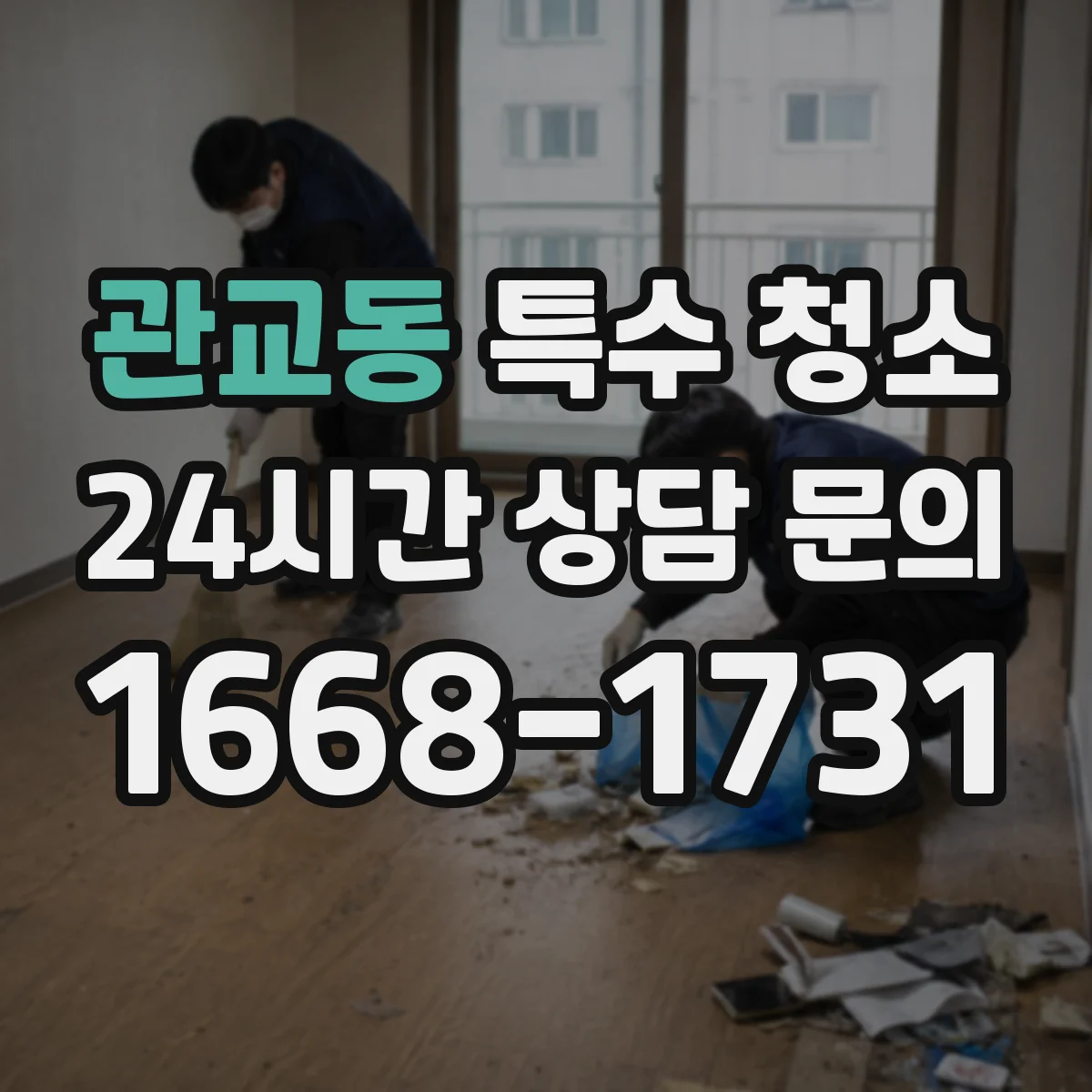 관교동 특수 청소