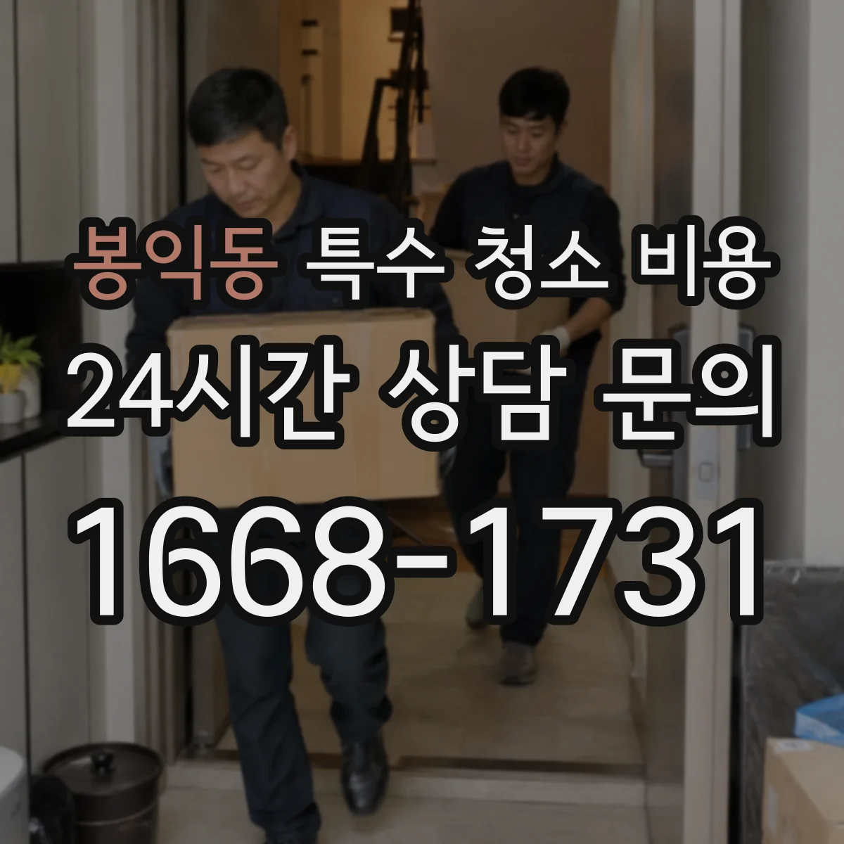 봉익동 특수 청소 비용 실링 처리까지 했을 때 추가되는 비용