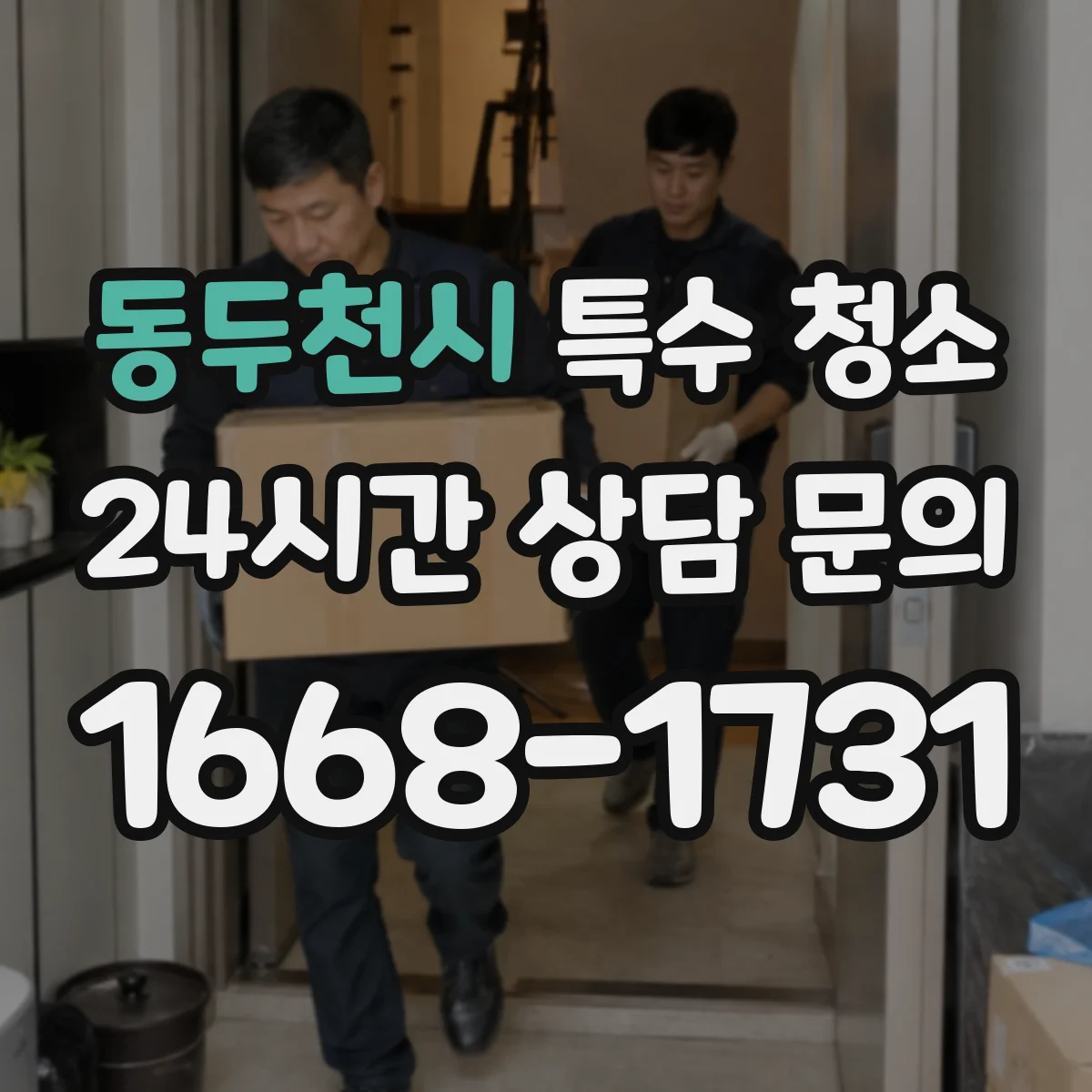 동두천시 특수 청소