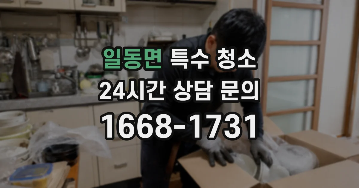 일동면 특수 청소