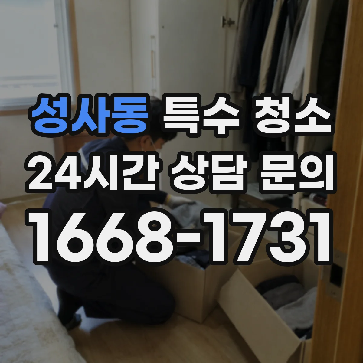 성사동 특수 청소