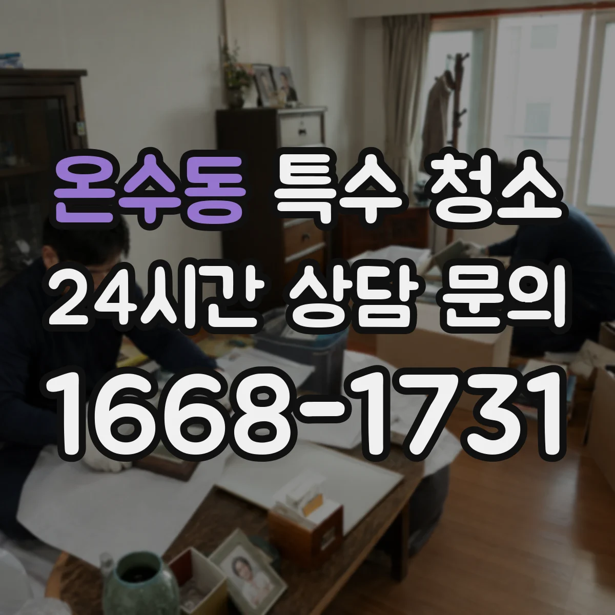 온수동 특수 청소
