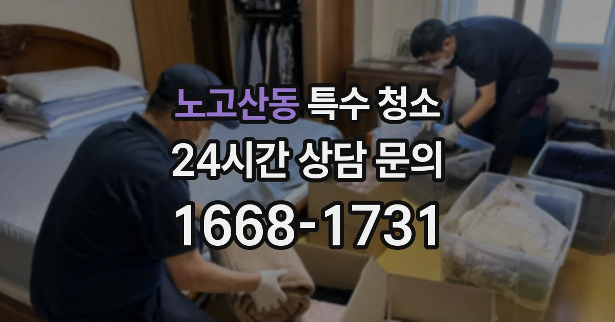 노고산동 특수 청소