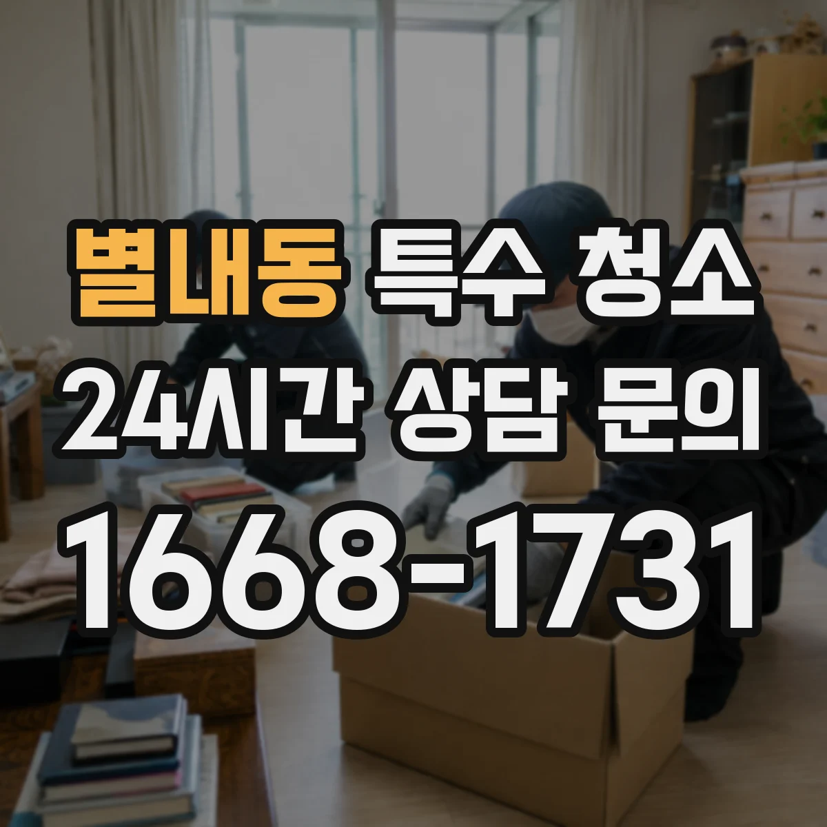 별내동 특수 청소