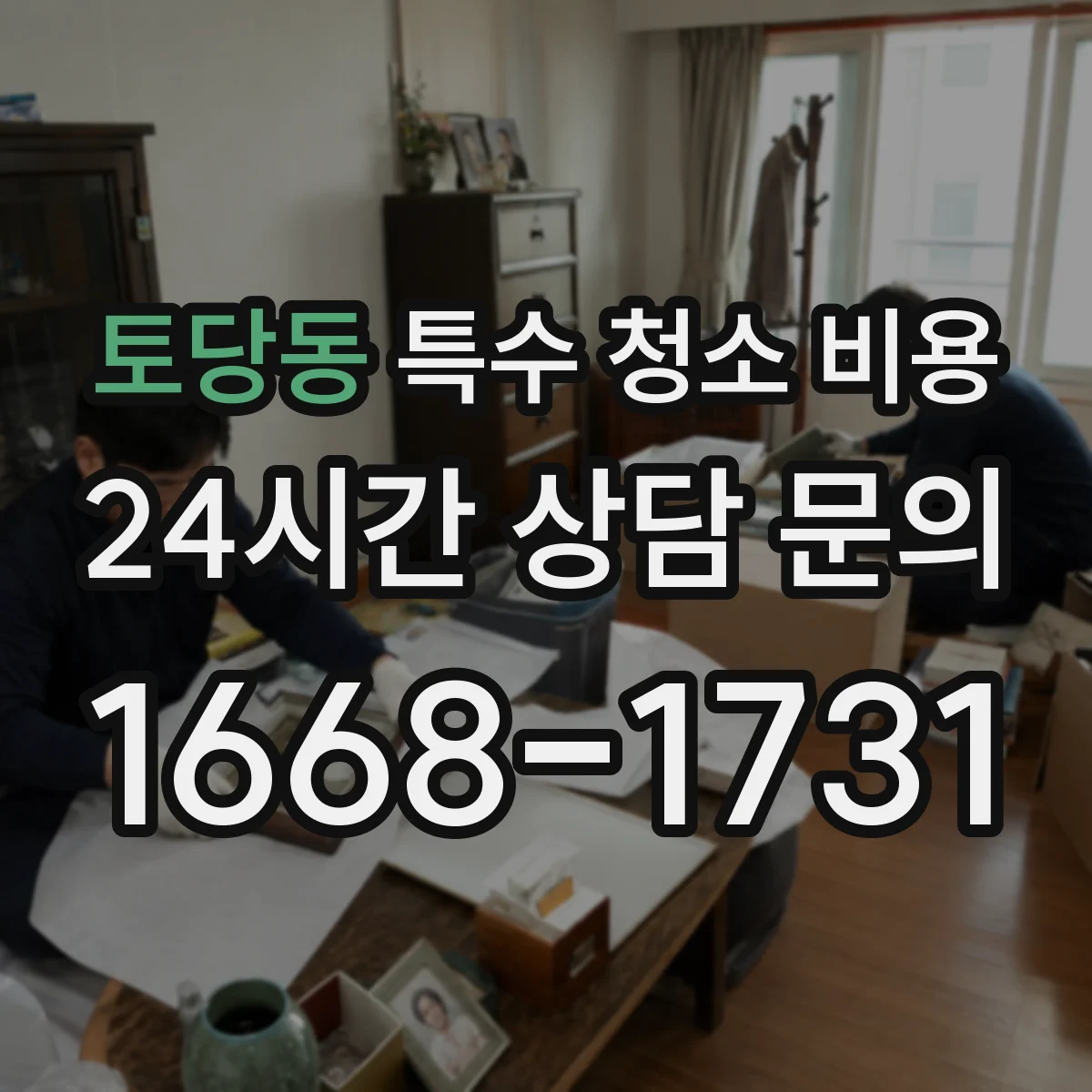 토당동 특수 청소 비용