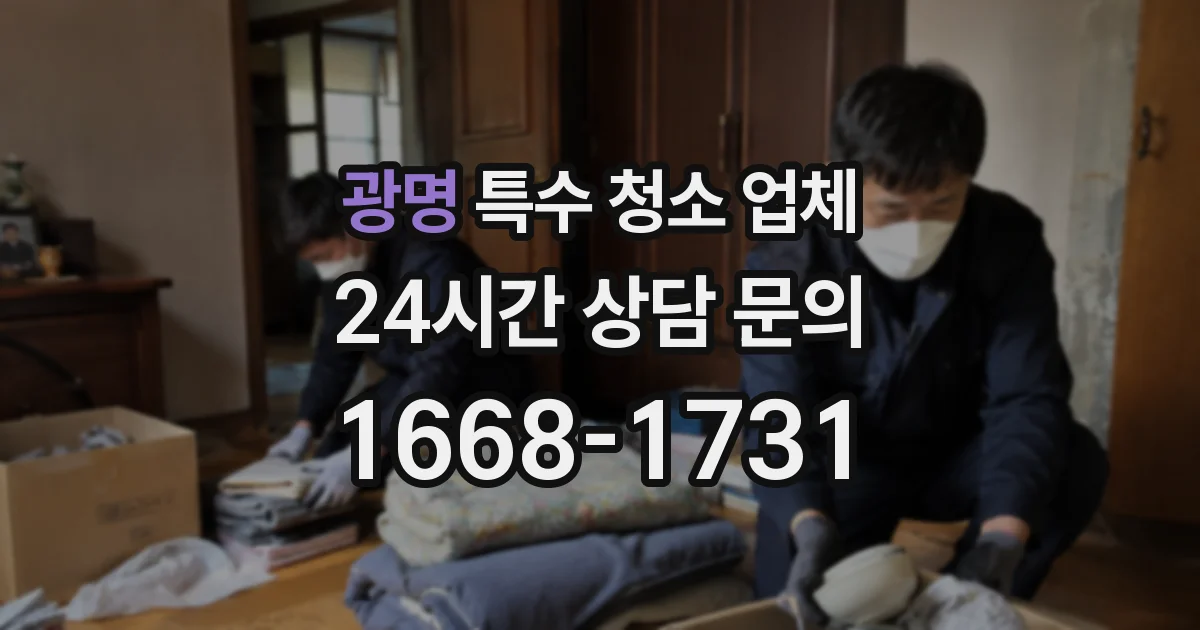 광명 특수 청소 업체