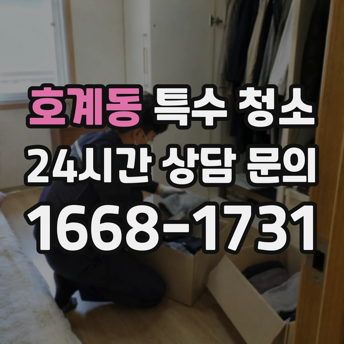 호계동 특수 청소