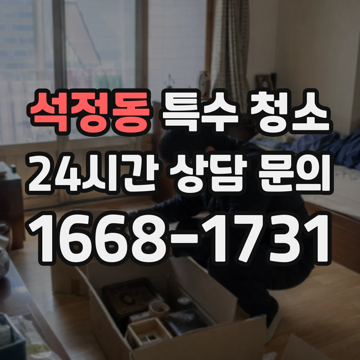 석정동 특수 청소