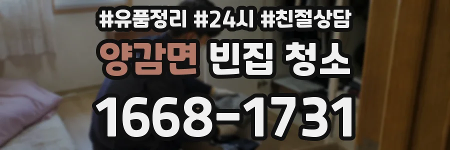 양감면 빈집 청소