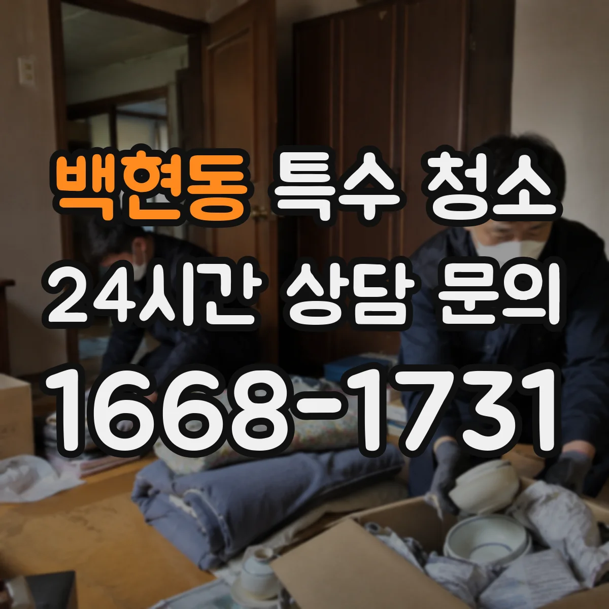 백현동 특수 청소
