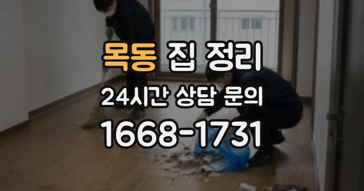목동 집 정리