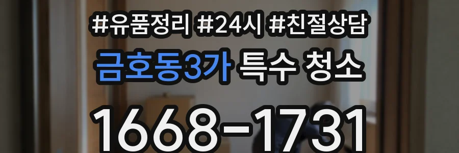 금호동3가 특수 청소