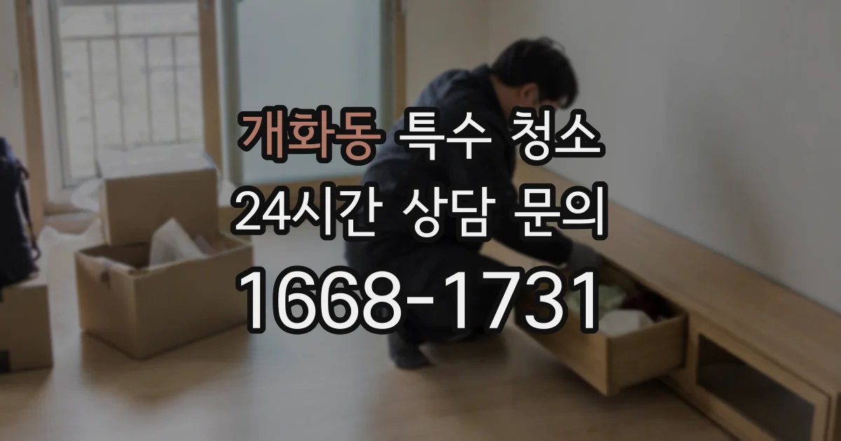 개화동 특수 청소