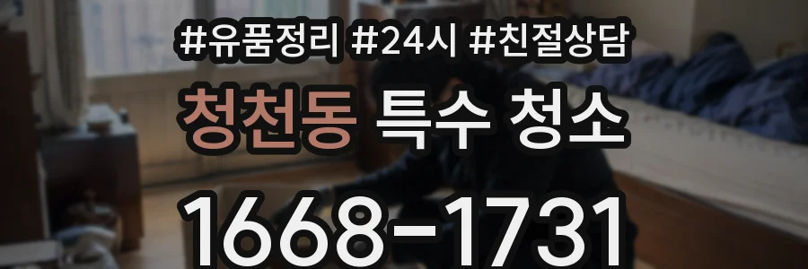 청천동 특수 청소
