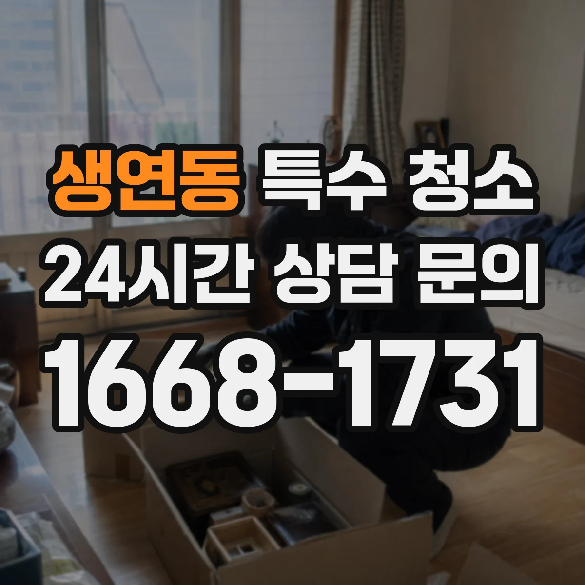 생연동 특수 청소
