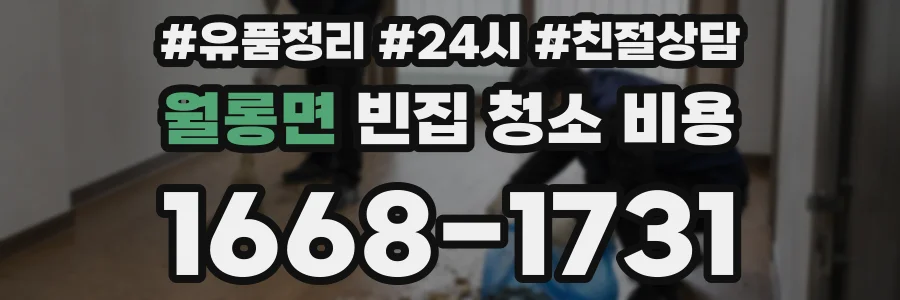 월롱면 빈집 청소 비용