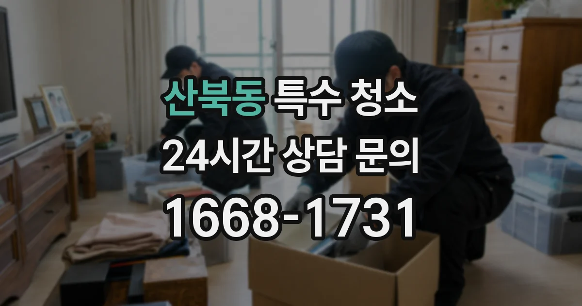 산북동 특수 청소