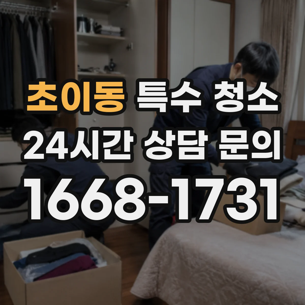 초이동 특수 청소