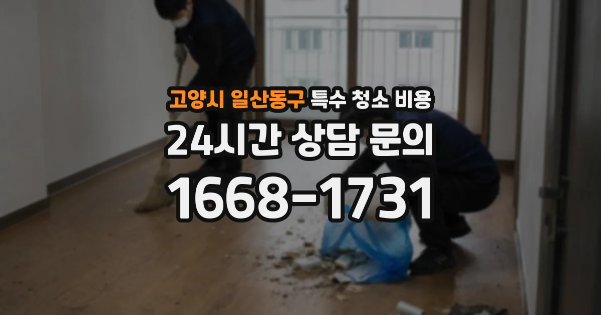 고양시 일산동구 특수 청소 비용