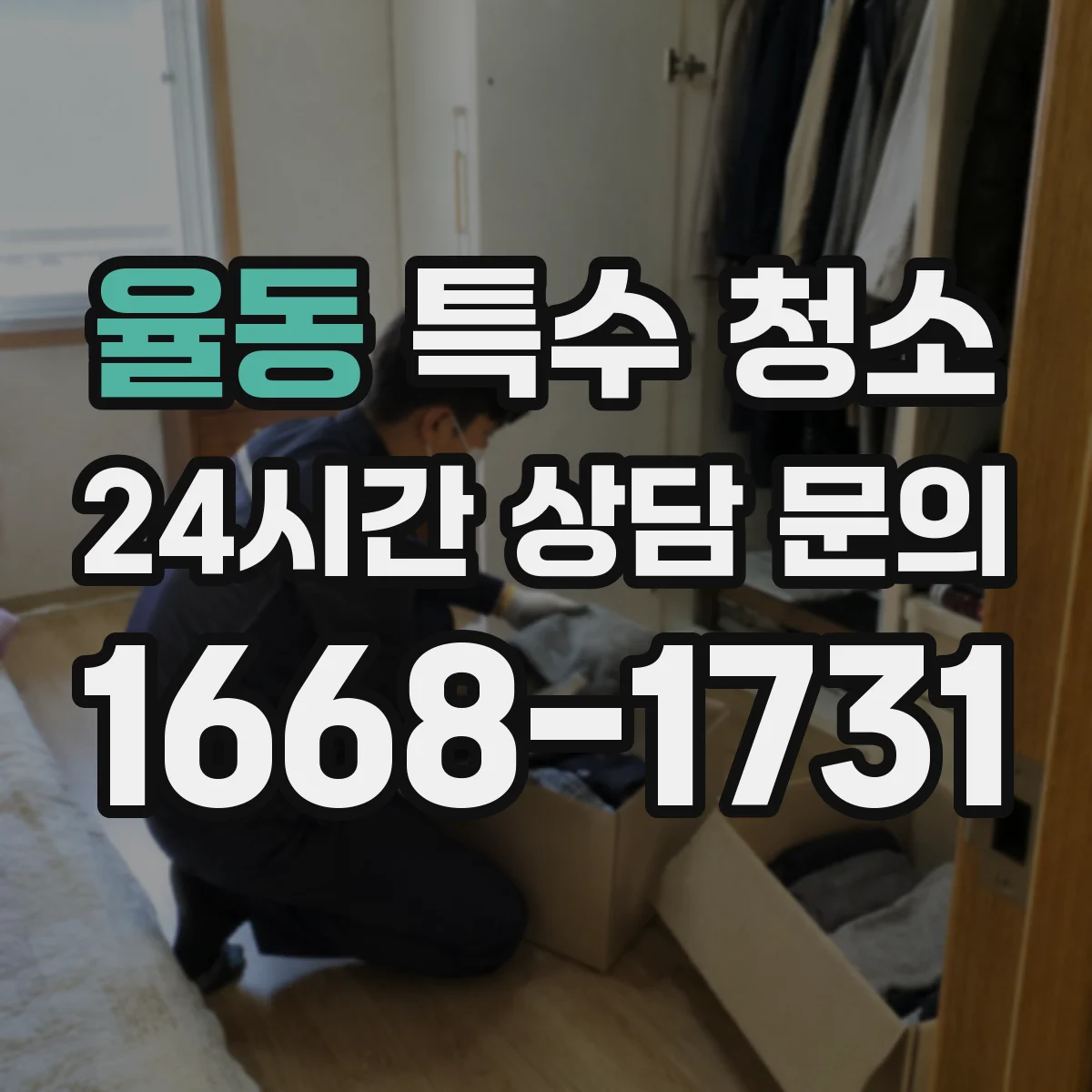 율동 특수 청소