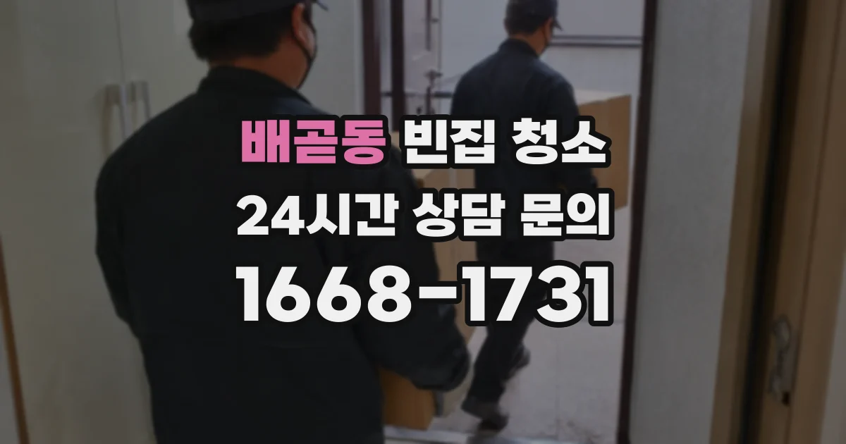 배곧동 빈집 청소