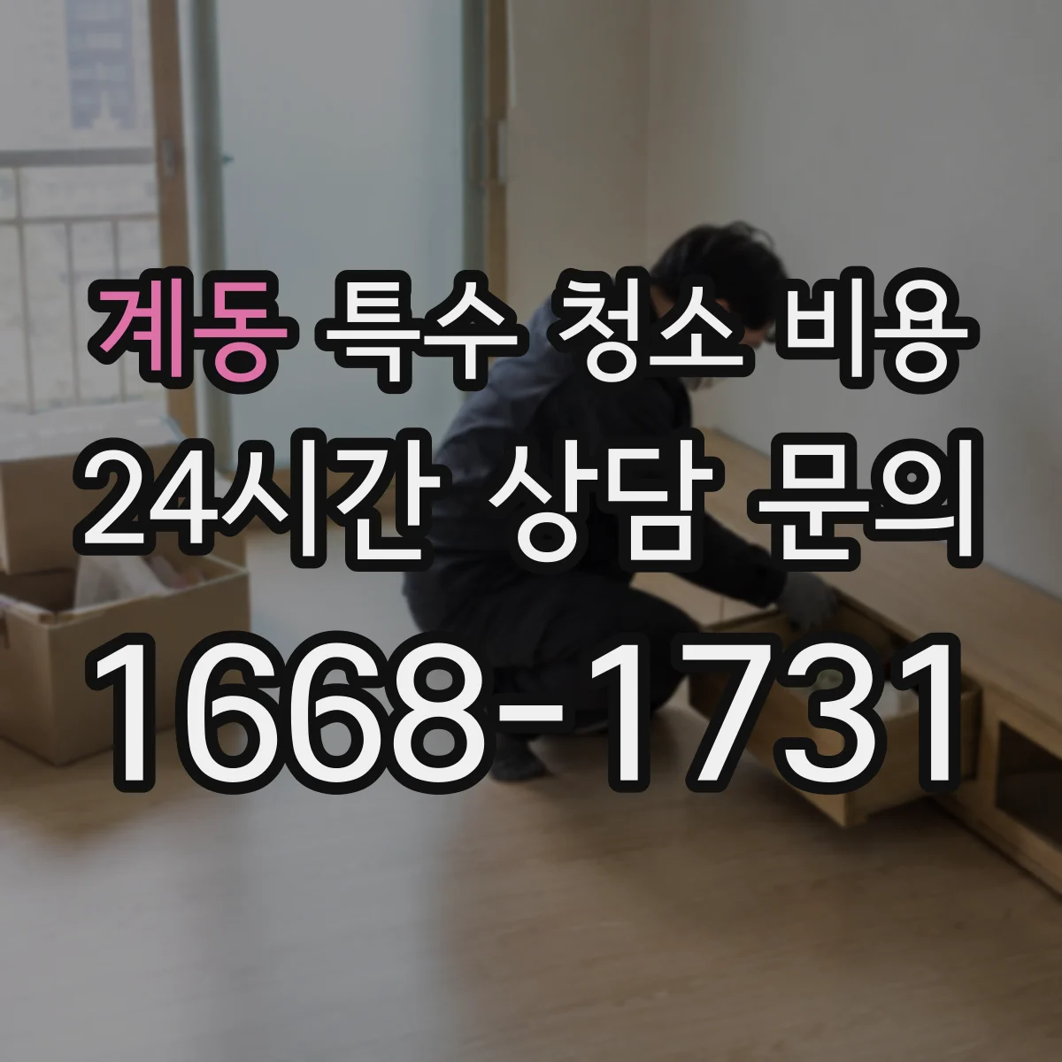 계동 특수 청소 비용