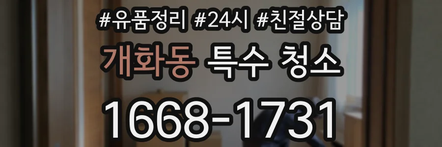개화동 특수 청소