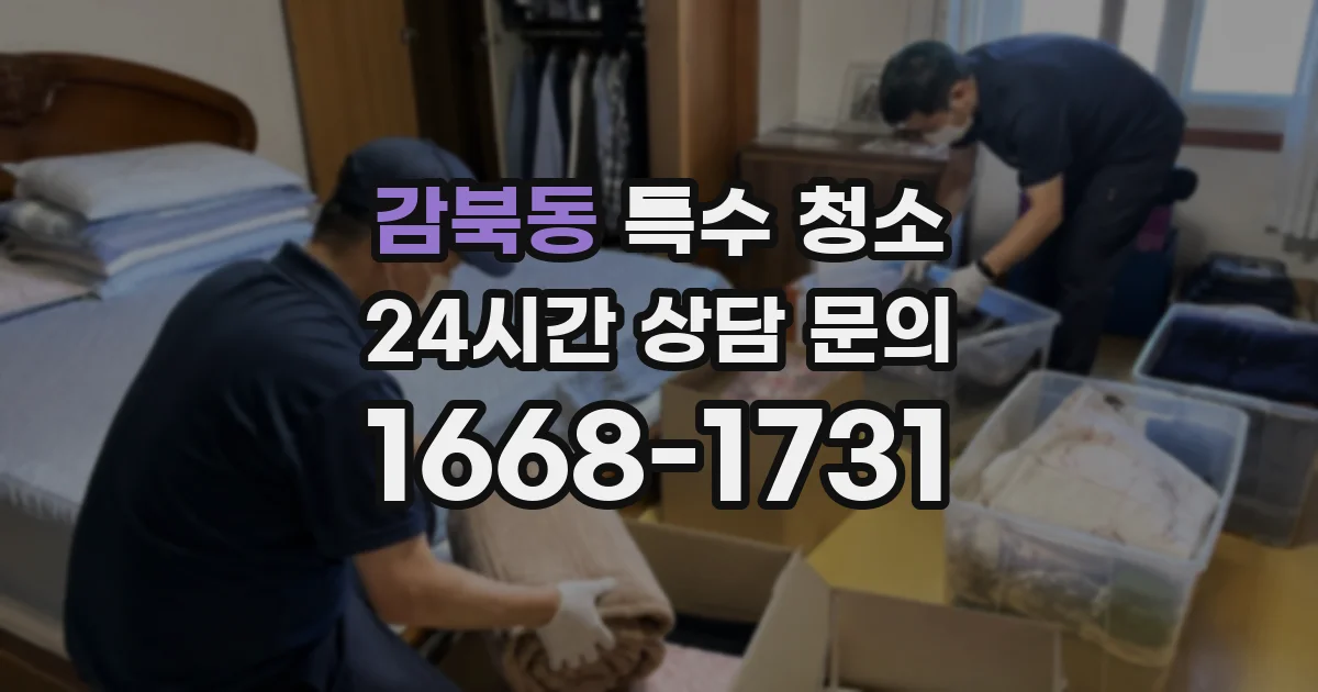 감북동 특수 청소