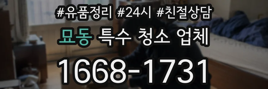 묘동 특수 청소 업체