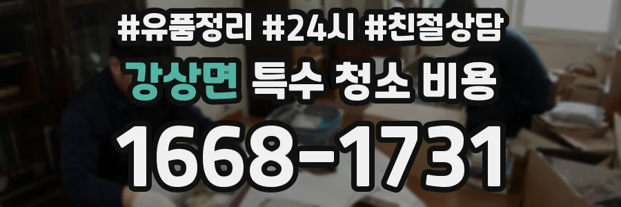 강상면 특수 청소 비용
