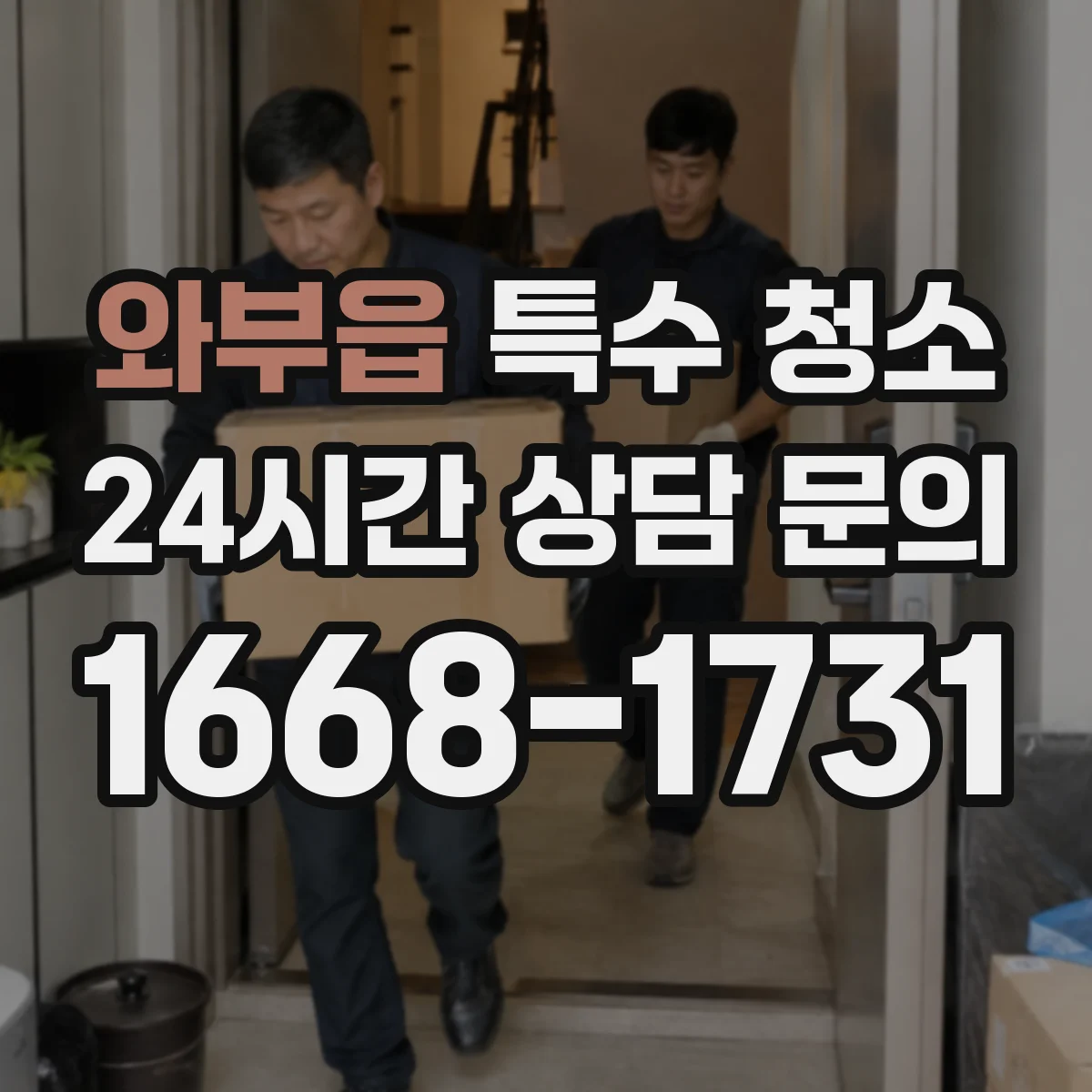 와부읍 특수 청소